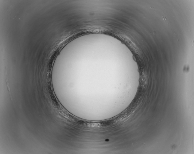 X0000096390355200801241122