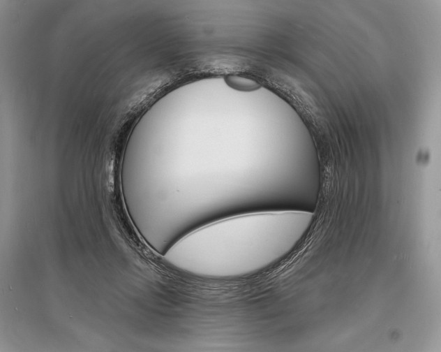 X0000096390358200801241122