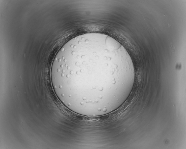 X0000096390359200801241122