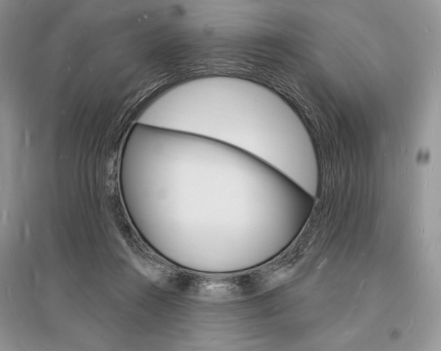 X0000096390360200801241122