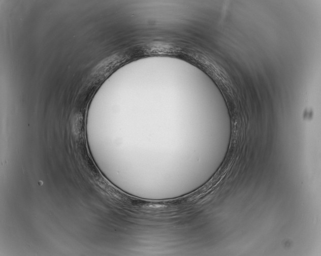 X0000096390361200801241122
