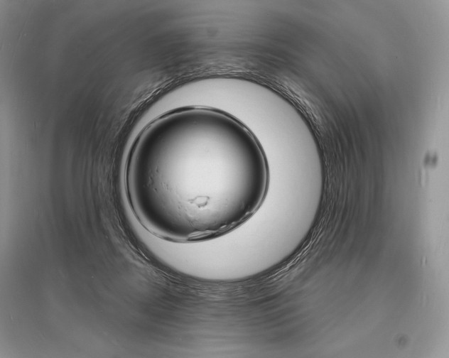 X0000096390362200801241122