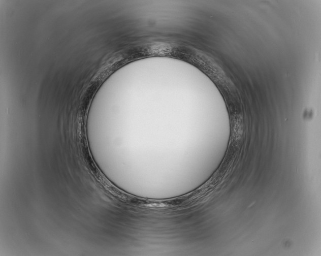 X0000096390363200801241122