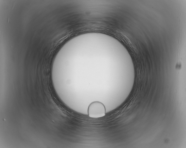 X0000096390364200801241122