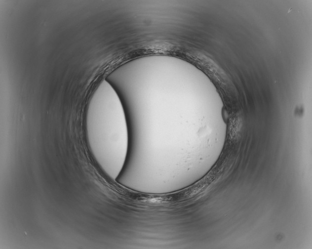 X0000096390365200801241122