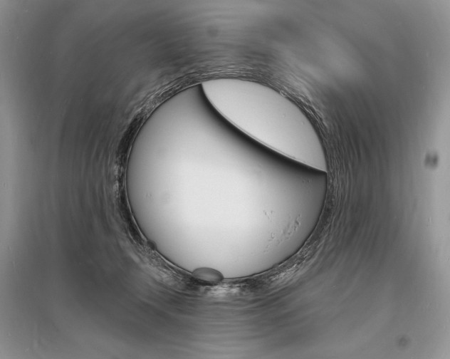 X0000096390366200801241122