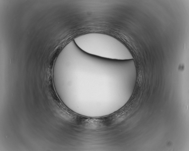 X0000096390367200801241122