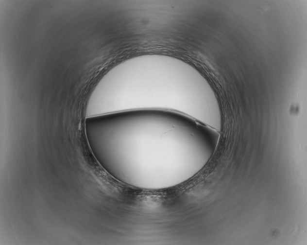 X0000096390368200801241122