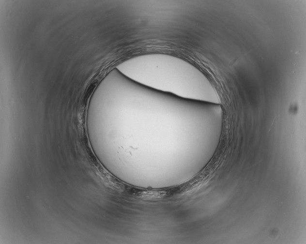 X0000096390373200801241122
