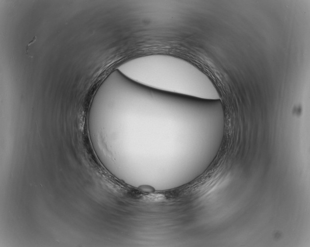 X0000096390374200801241122