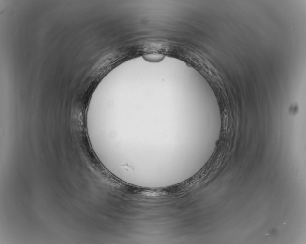 X0000096390375200801241122
