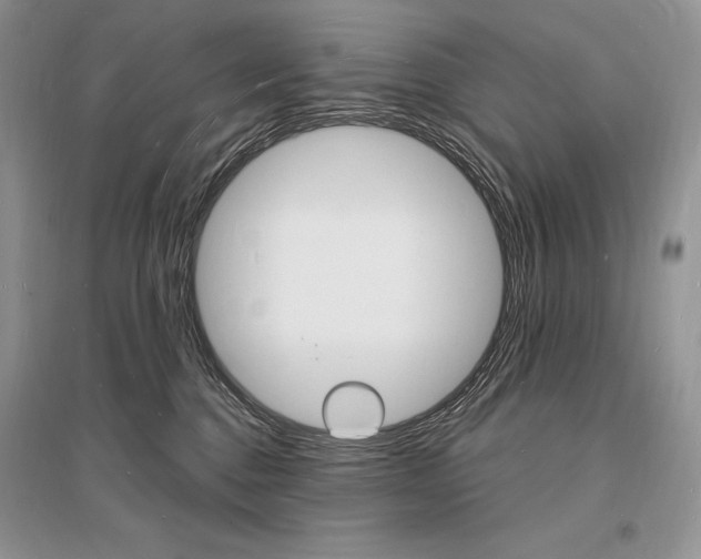 X0000096390376200801241122