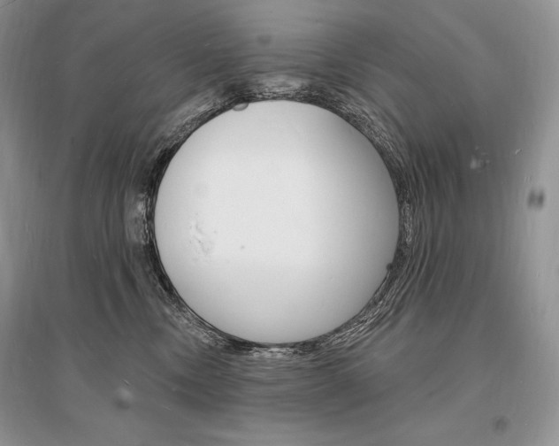 X0000096390378200801241122