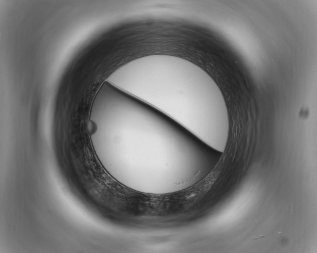 X0000096390383200801241122