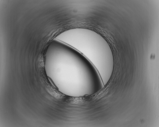 X0000096390384200801241122
