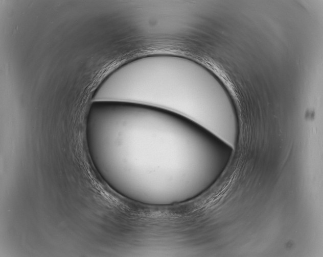 X0000096390385200801241121