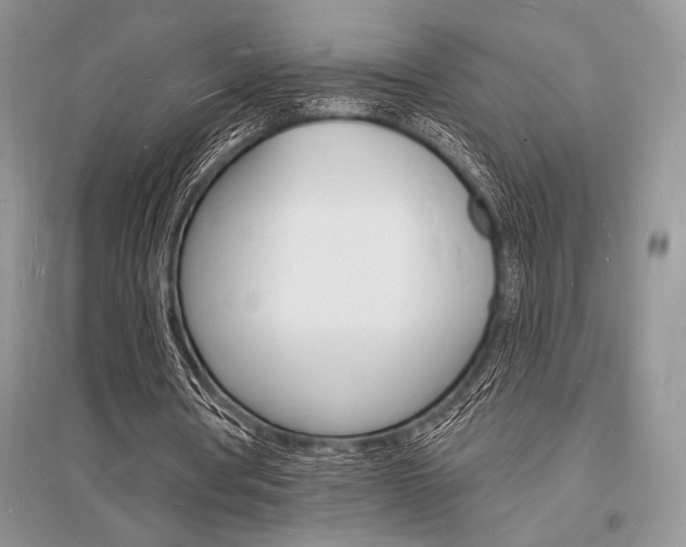 X0000096390386200801241121