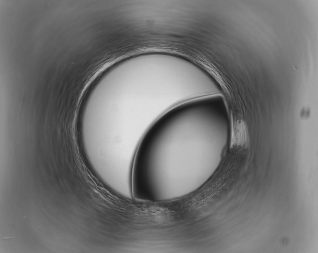 X0000096390387200801241121