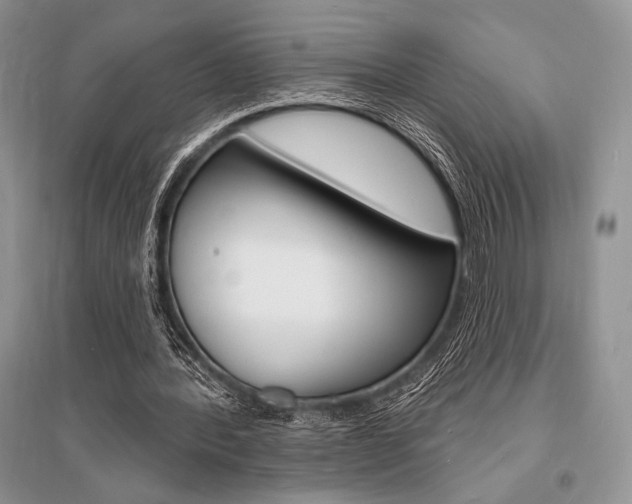 X0000096390388200801241121