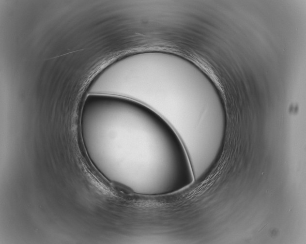 X0000096390389200801241121