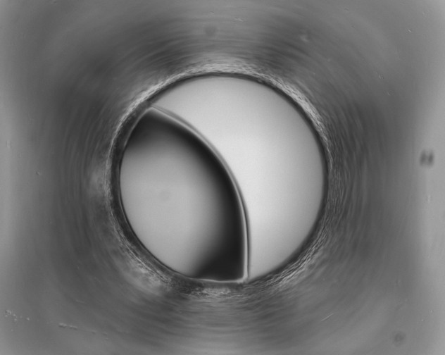 X0000096390391200801241121
