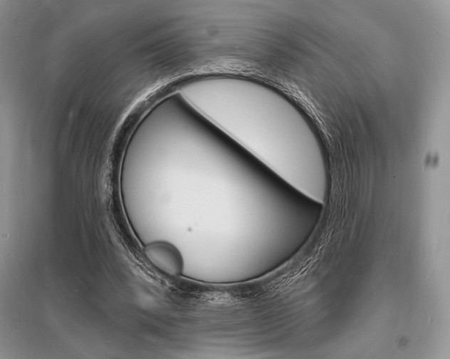 X0000096390392200801241121