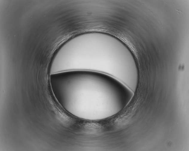 X0000096390397200801241121
