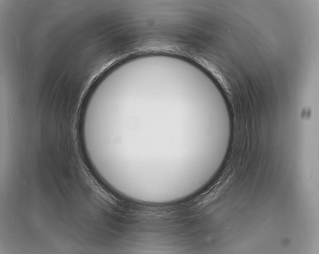 X0000096390399200801241121