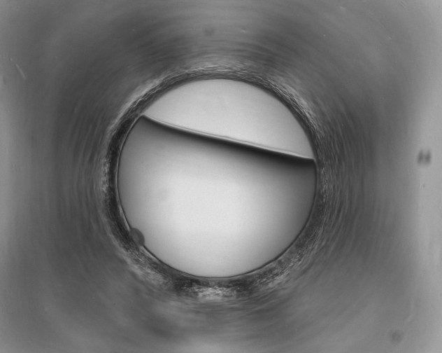 X0000096390400200801241121
