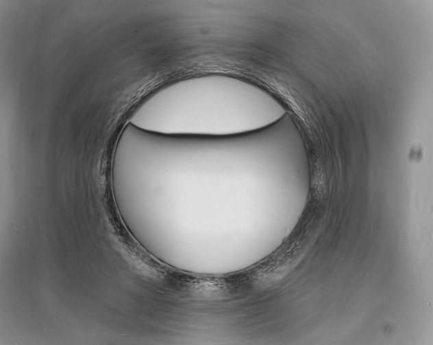 X0000096390402200801241121