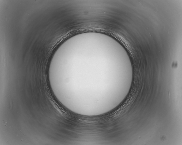 X0000096390405200801241121