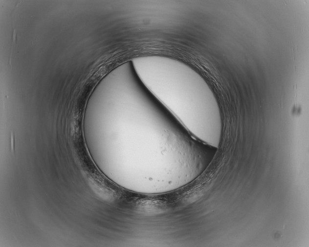 X0000096390408200801241121