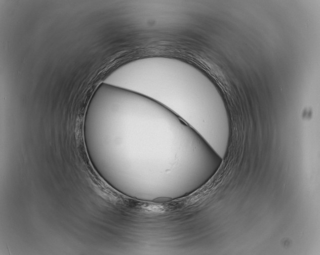 X0000096390409200801241121