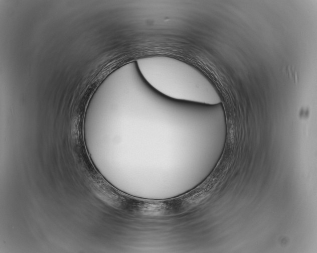 X0000096390410200801241121