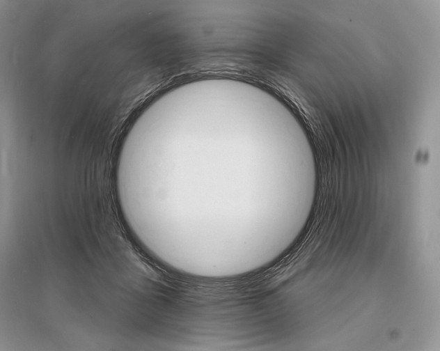 X0000096390411200801241121