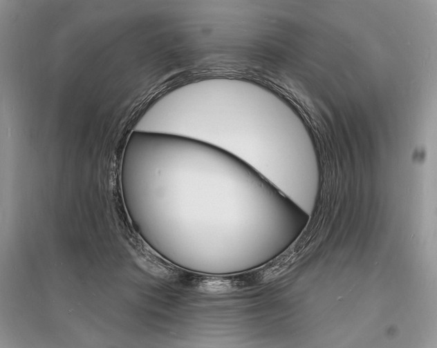 X0000096390413200801241121