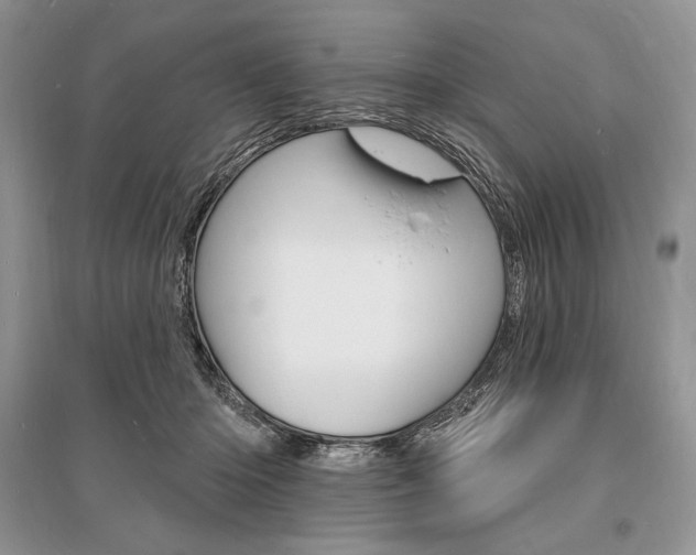 X0000096390414200801241121