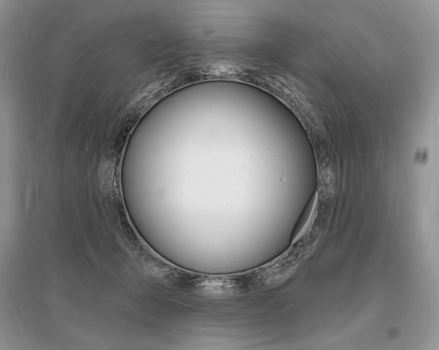 X0000096390415200801241121