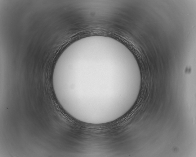 X0000096390417200801241121