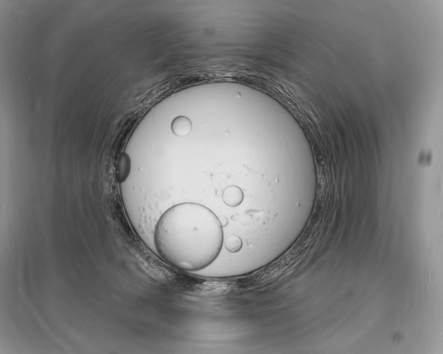 X0000096390418200801241121