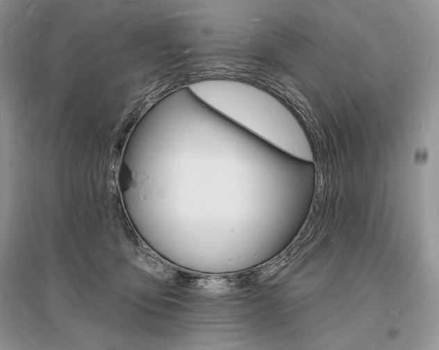 X0000096390419200801241121