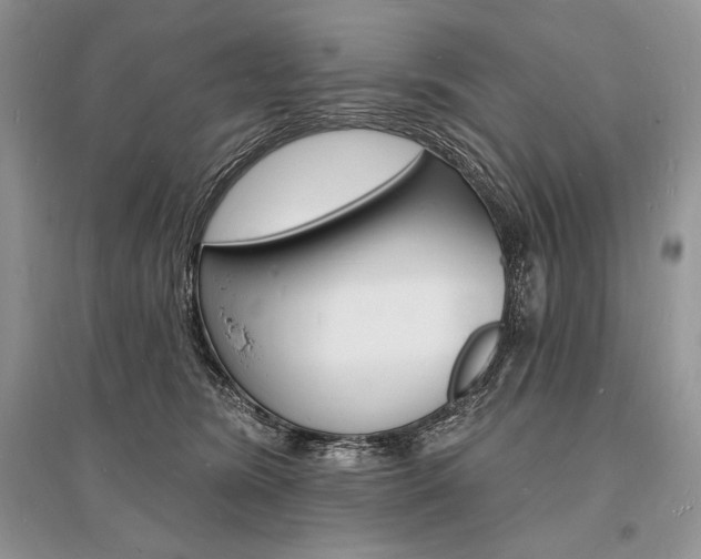 X0000096390420200801241121