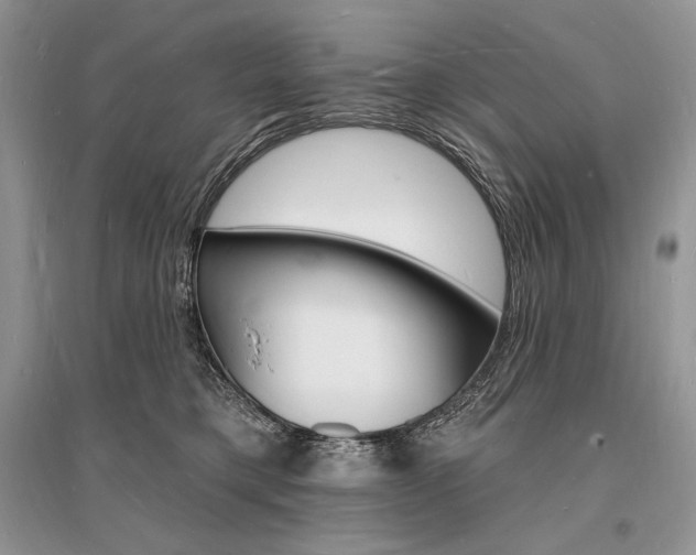 X0000096390421200801241121