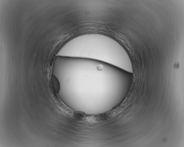 X0000096390423200801241121