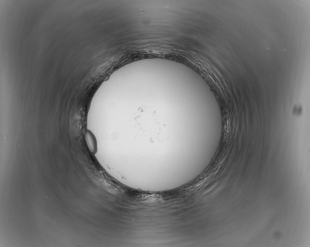 X0000096390424200801241121