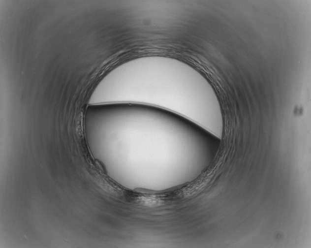 X0000096390425200801241121