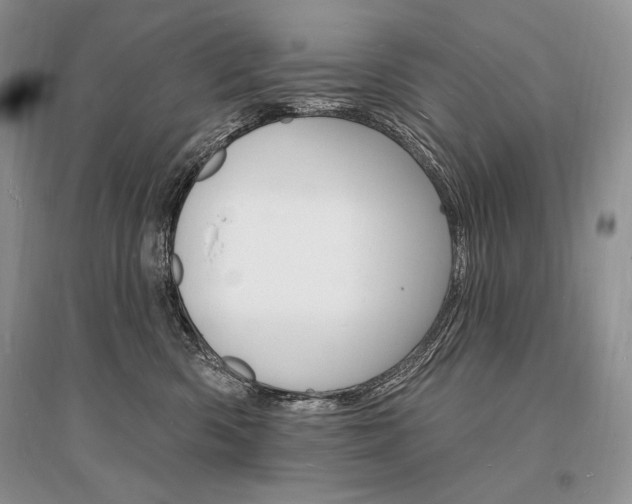 X0000096390426200801241121