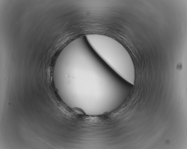 X0000096390428200801241121