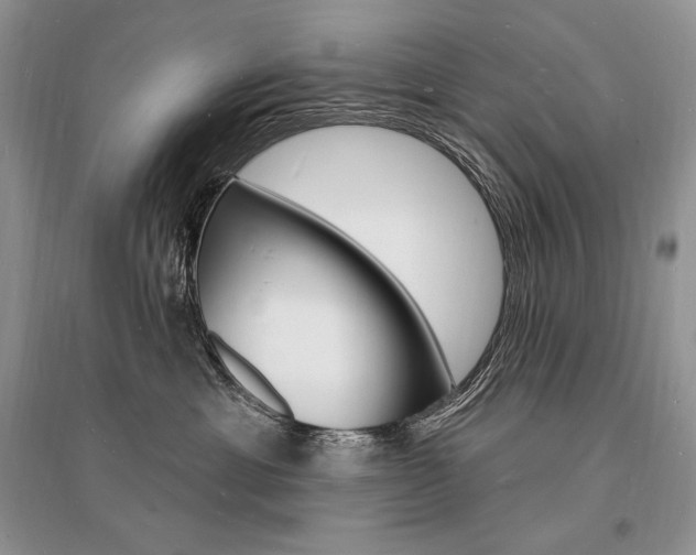 X0000096390429200801241121