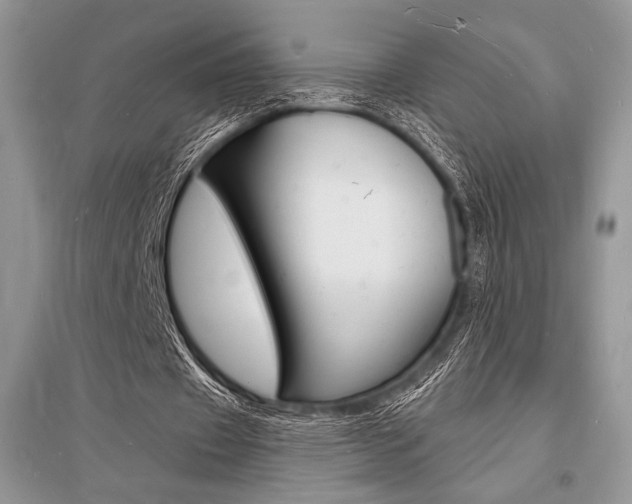 X0000096390433200801241120